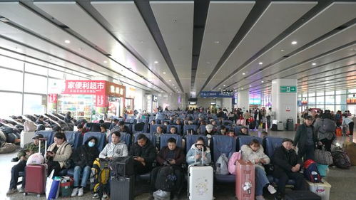 春運(yùn)進(jìn)行時(shí) 長(zhǎng)沙汽車(chē)西站客流量攀升，預(yù)計(jì)2月7日迎峰值
