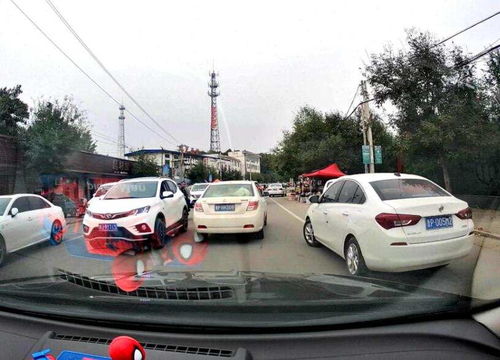 喜提新車(chē)的朋友們，老司機(jī)告訴你必買(mǎi)的汽車(chē)用品